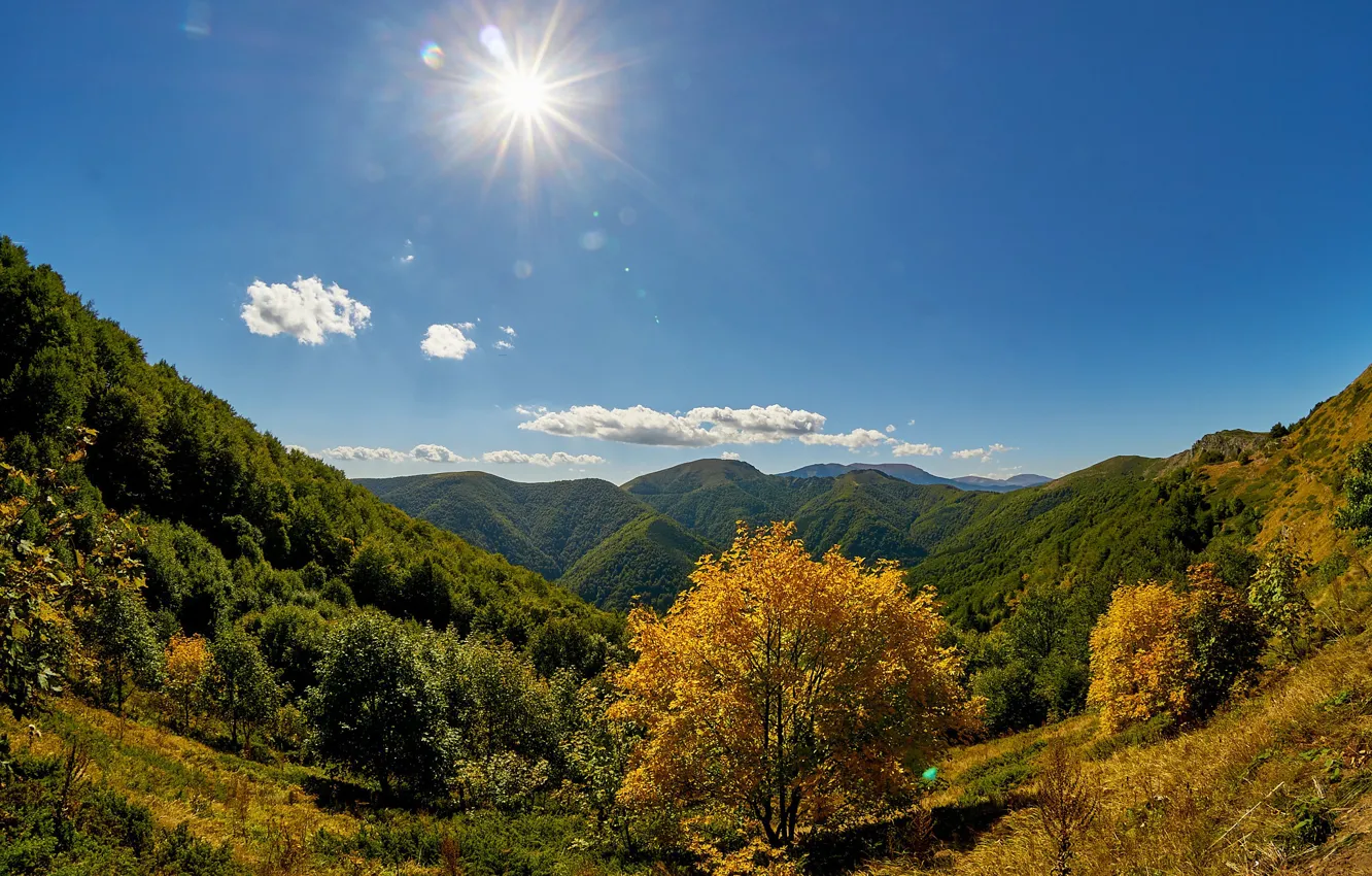 Photo wallpaper autumn, forest, the sky, the sun, trees, mountains, Bulgaria, Bulgaria