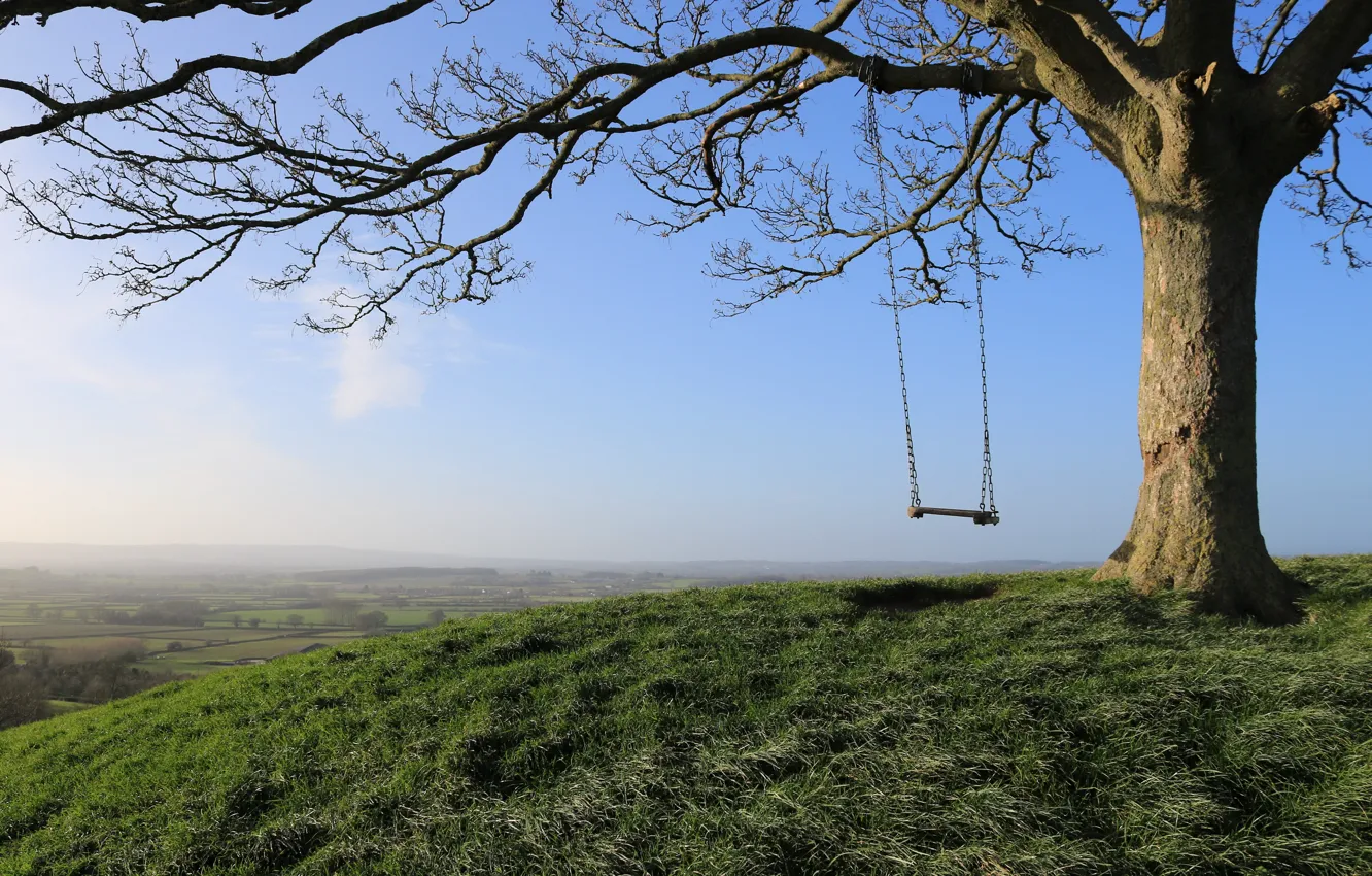 Photo wallpaper the sky, swing, tree