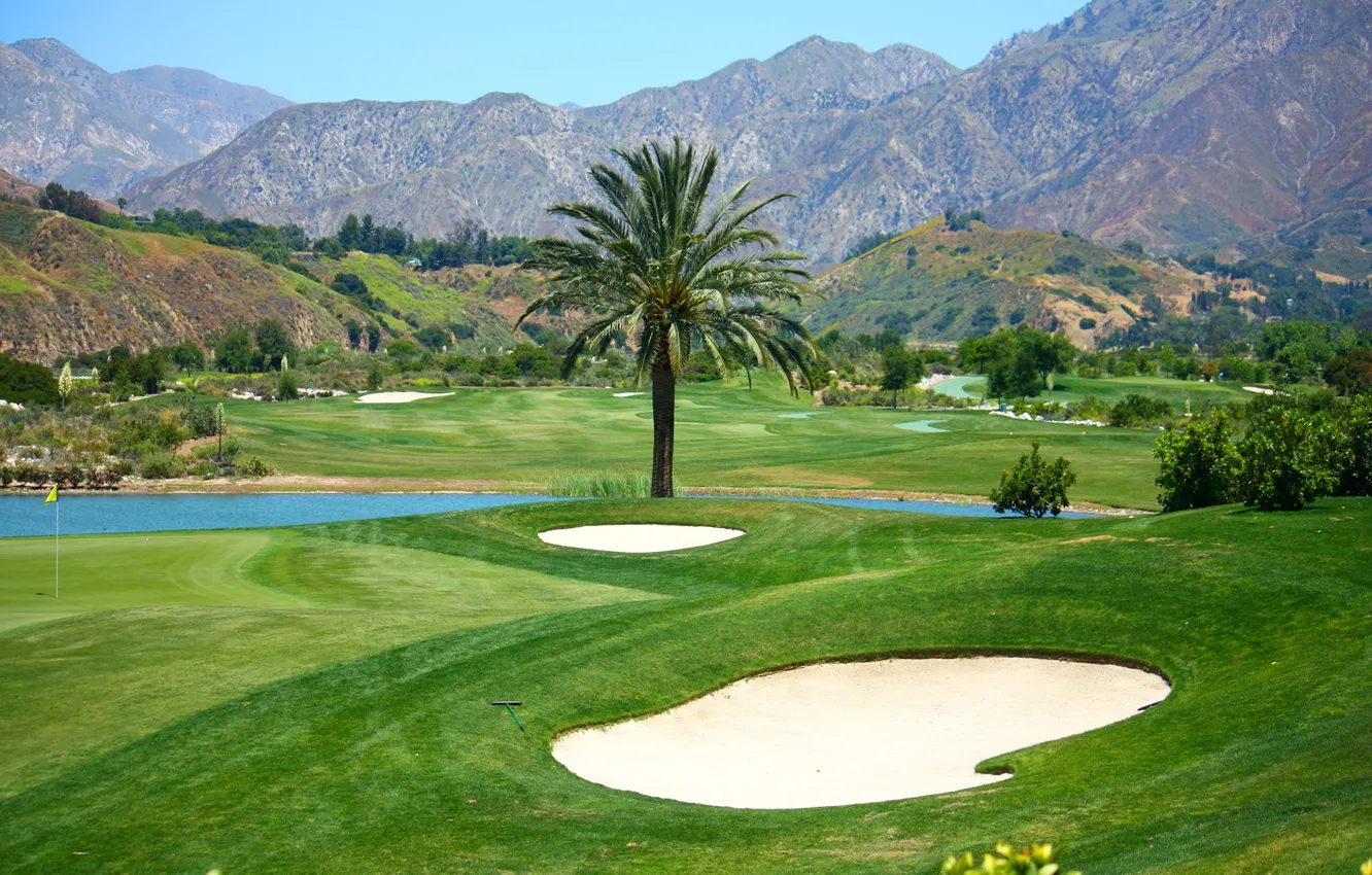 Photo wallpaper greens, field, trees, mountains, river, palm trees, lawn, Golf