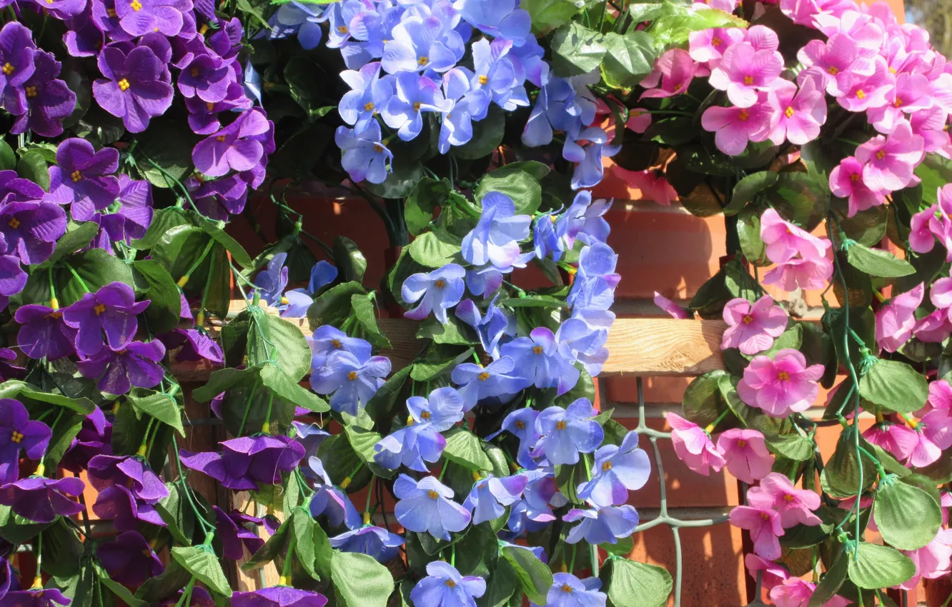 Photo wallpaper hanging, artificial flowers, spring 2018, Mamala ©