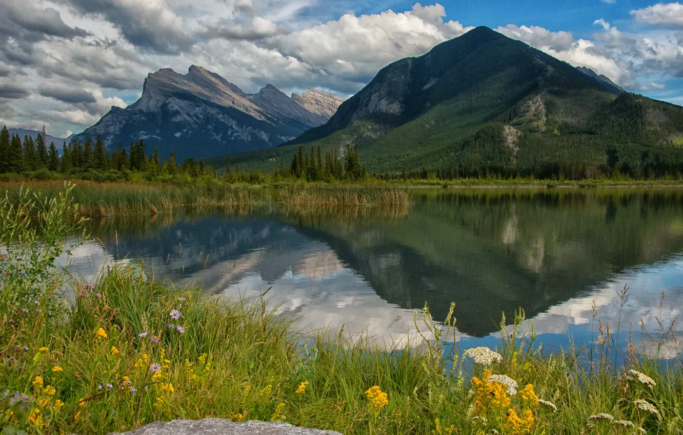 Photo wallpaper forest, the sky, grass, clouds, trees, flowers, mountains, lake