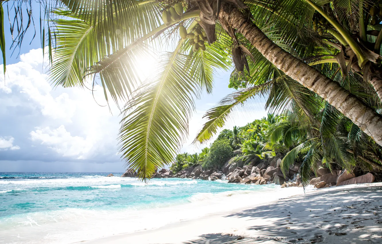 Photo wallpaper sand, sea, wave, beach, summer, the sky, palm trees, shore