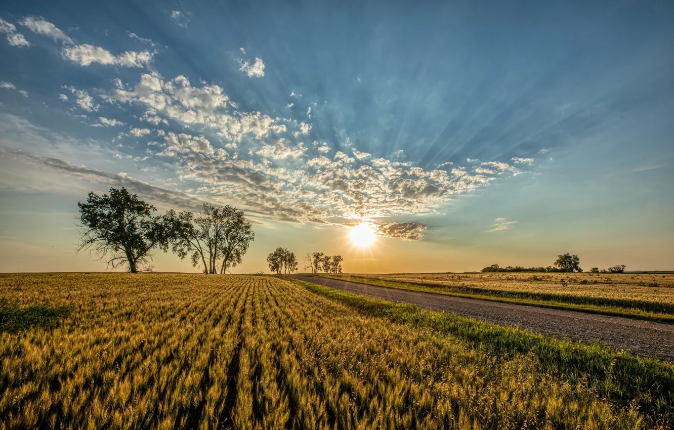 Photo wallpaper road, field, the sky, the sun, clouds, trees, sunset, North Dakota