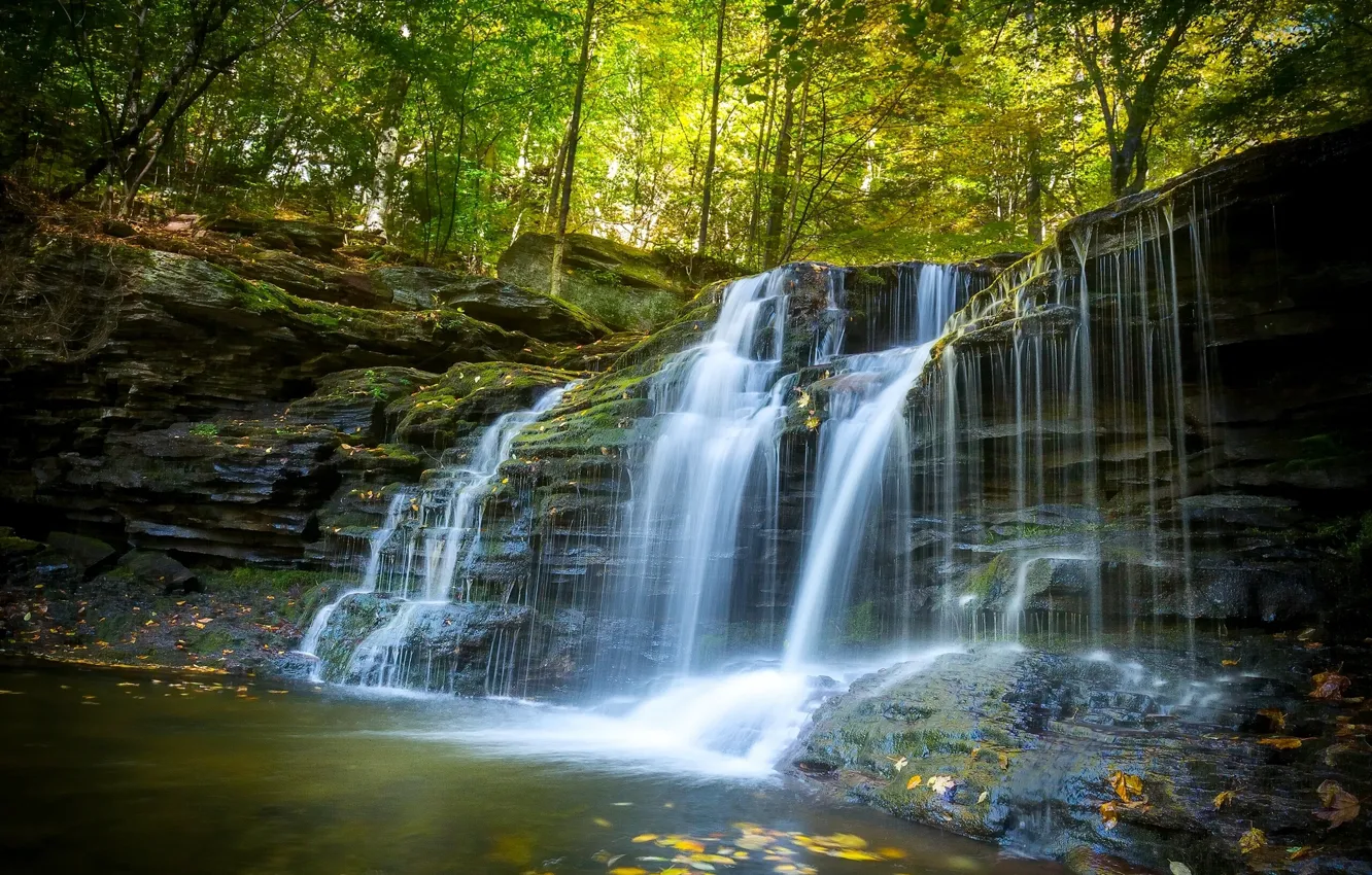 Photo wallpaper autumn, forest, waterfall, PA, cascade, Pennsylvania, Ricketts Glen State Park