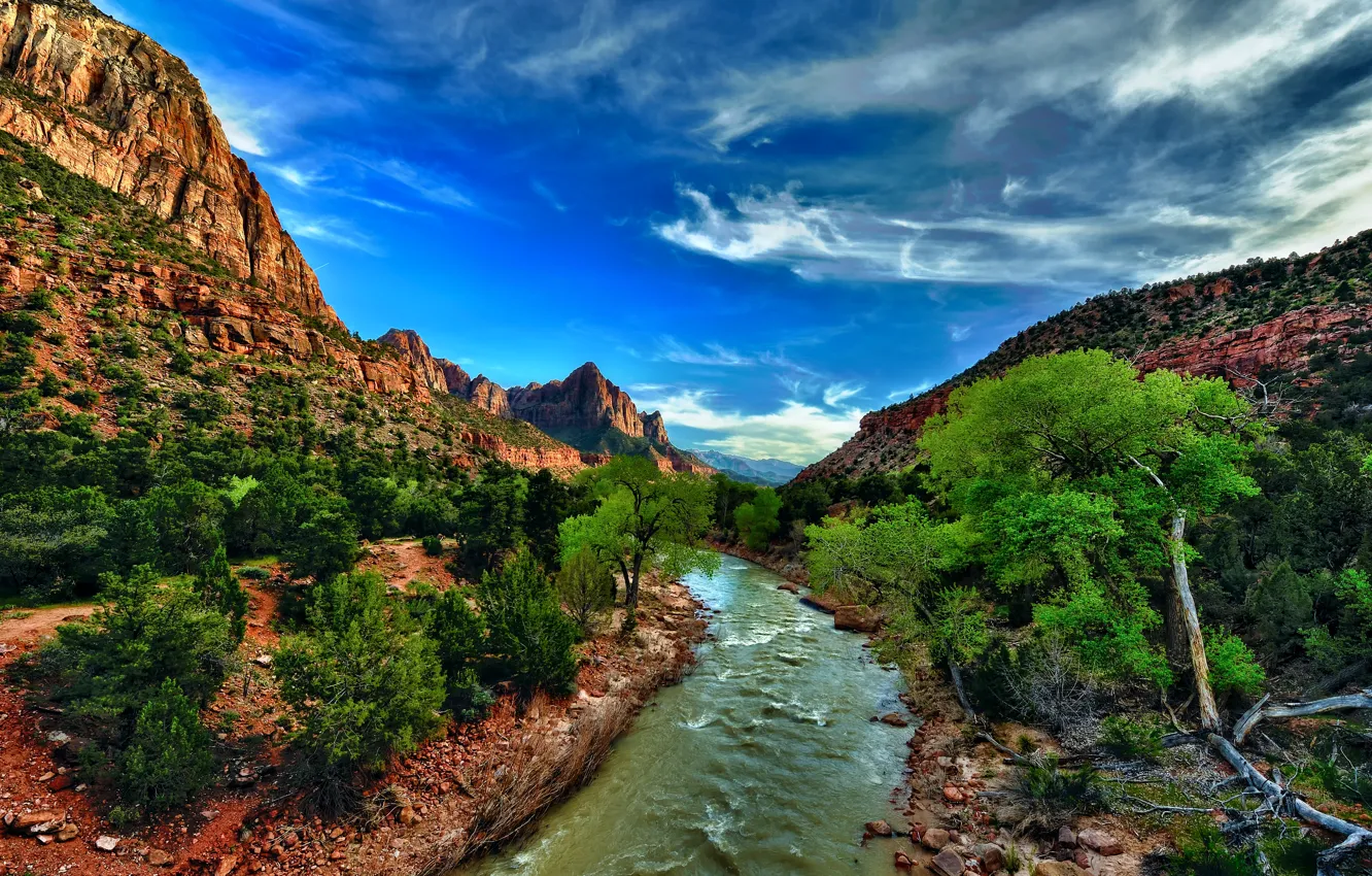 Photo wallpaper stones, rocks, gorge, Utah, USA, river, Zion National Park, the bushes