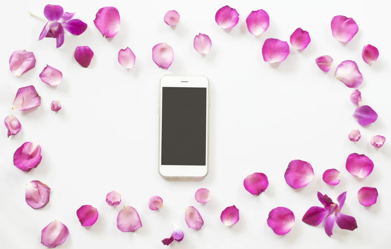 Photo wallpaper petals, Phone, smartphone