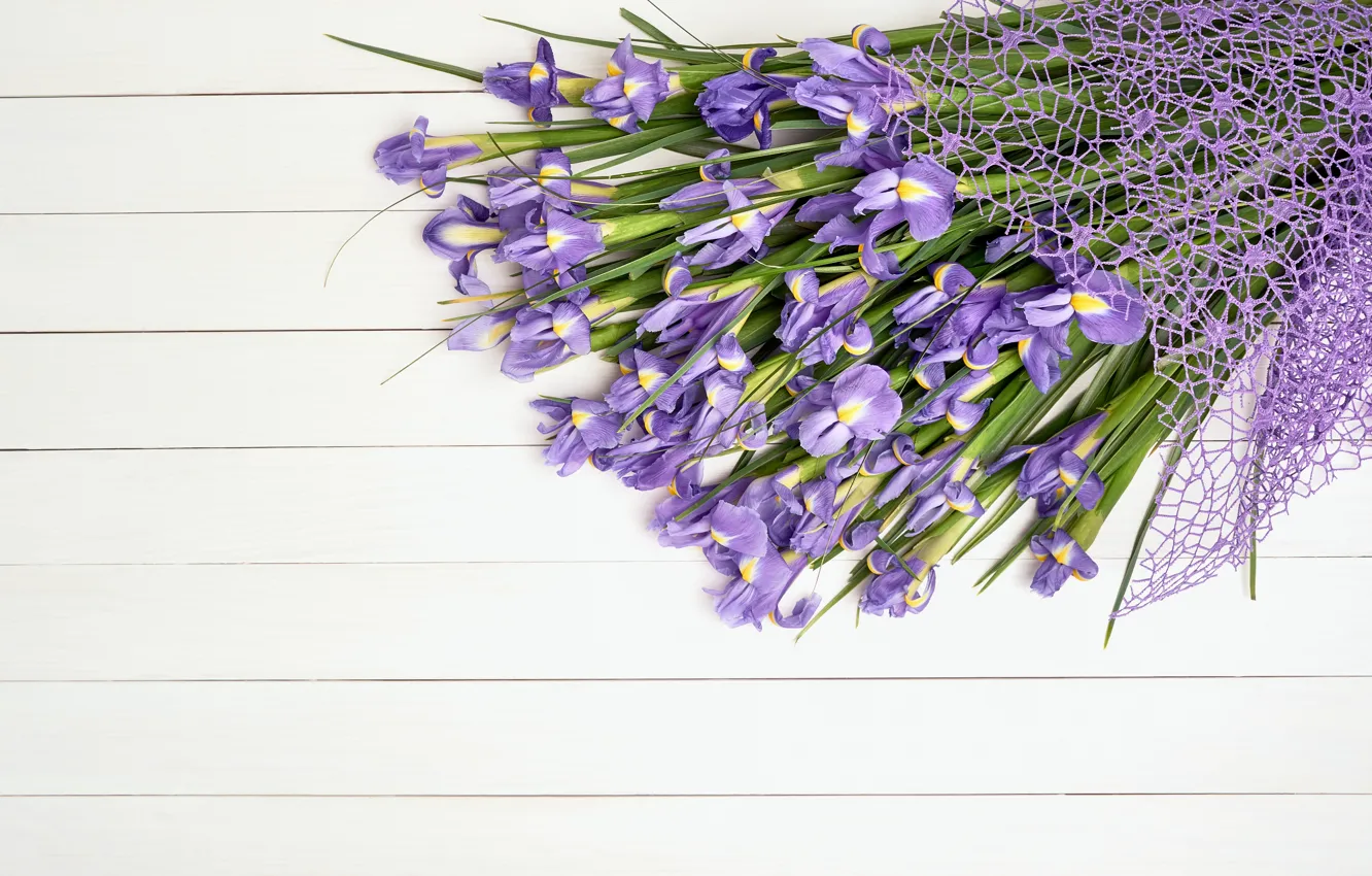 Photo wallpaper white, flowers, background, bouquet, iris