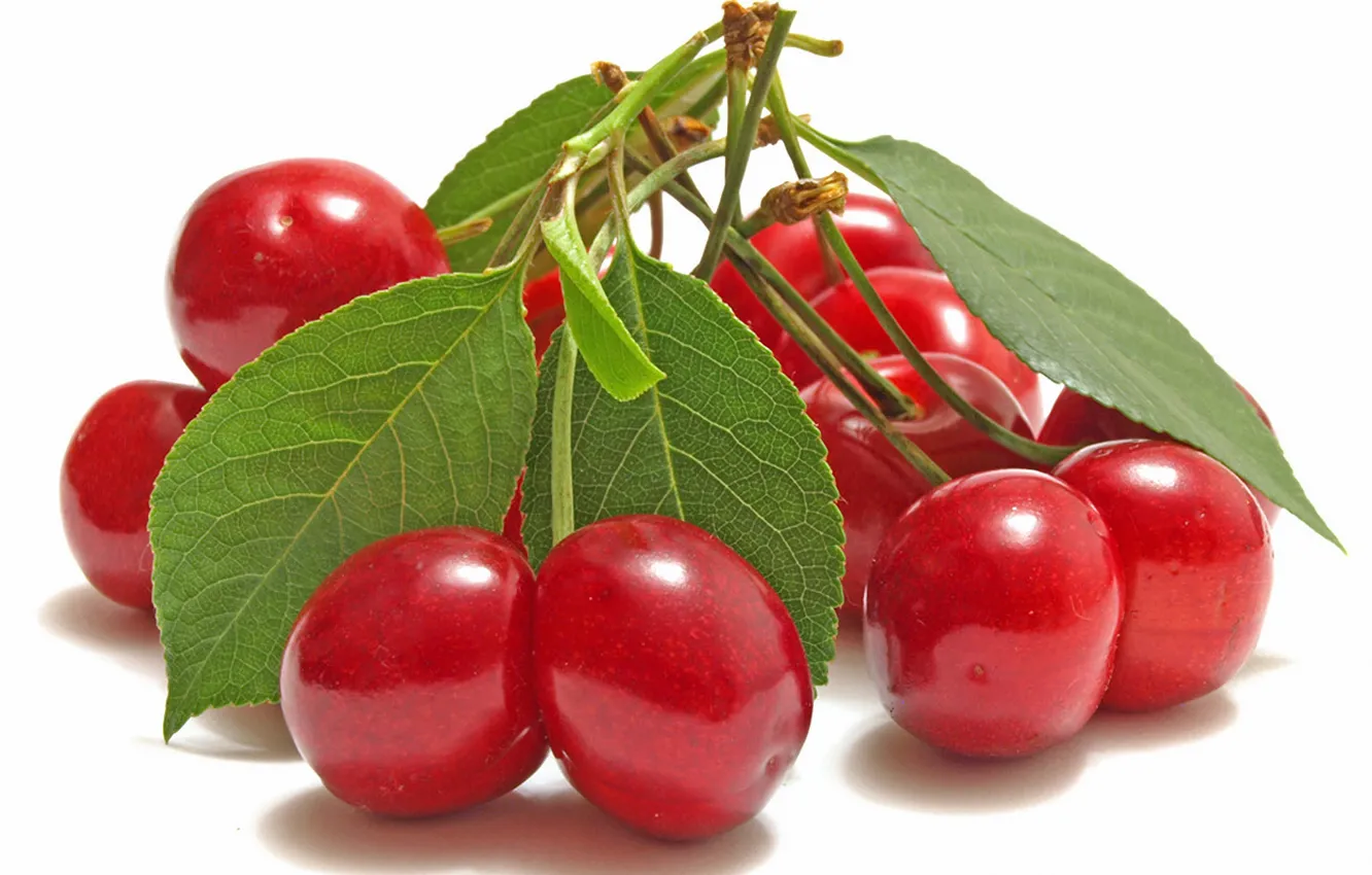 Photo wallpaper cherry, berries, red