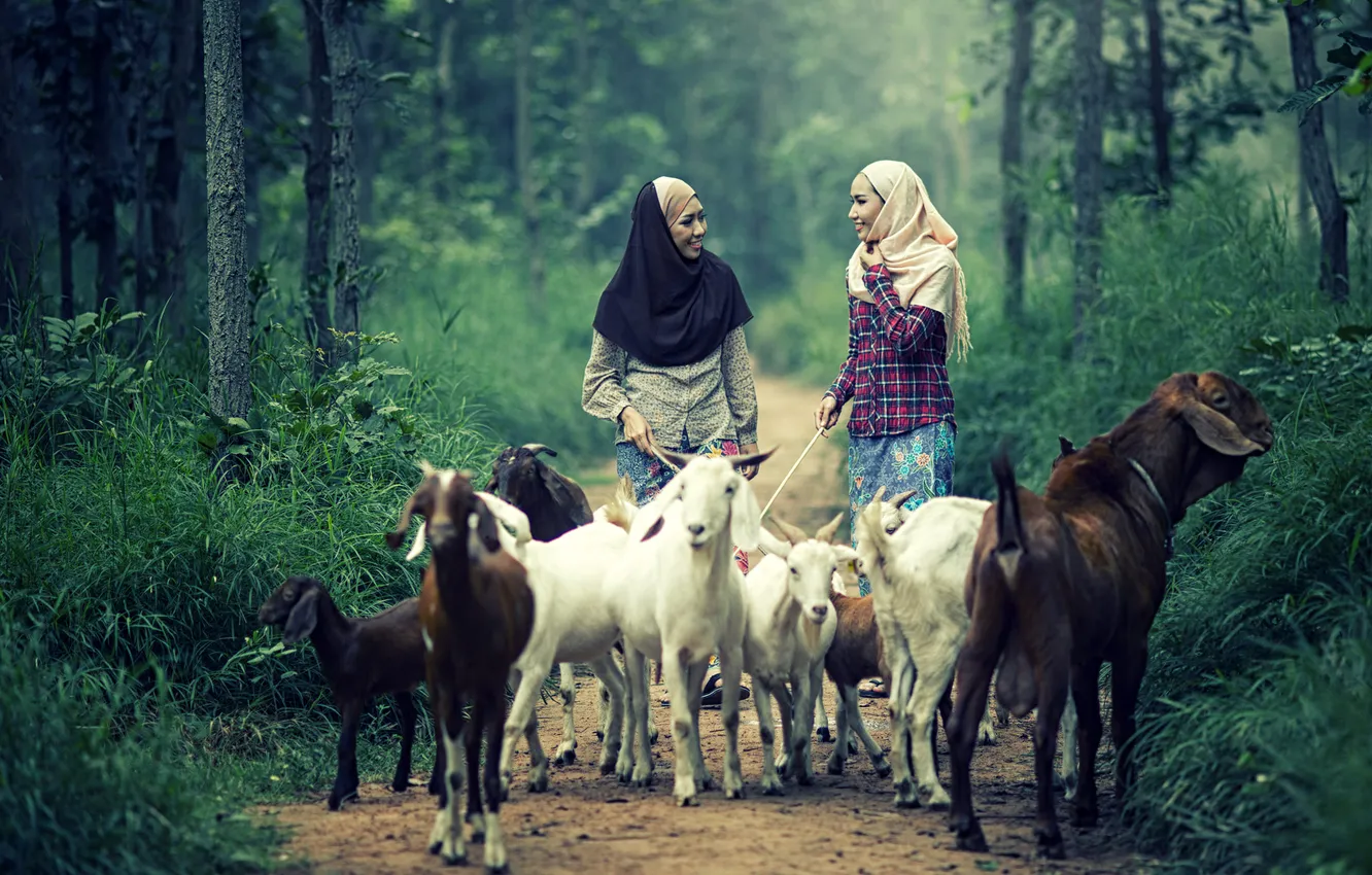 Photo wallpaper China, wallpaper, girl, sexy, woman, model, asian, cute