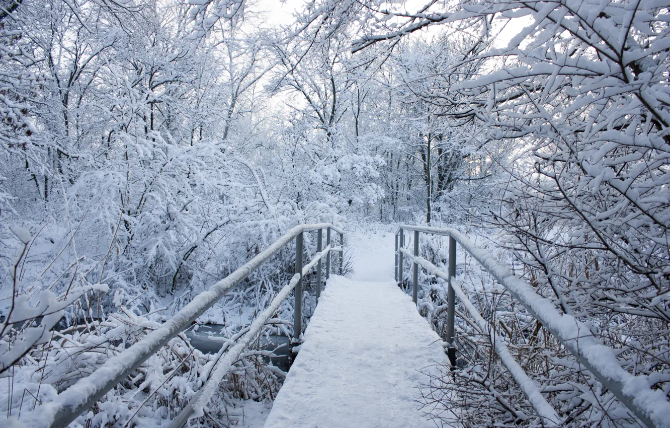Photo wallpaper winter, snow, trees, landscape, snowflakes, bridge, nature, winter
