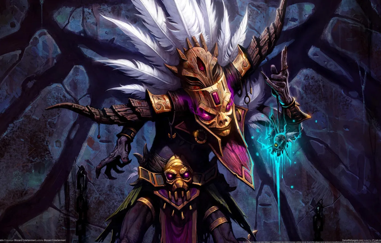 Photo wallpaper magic, mask, Diablo 3, shaman