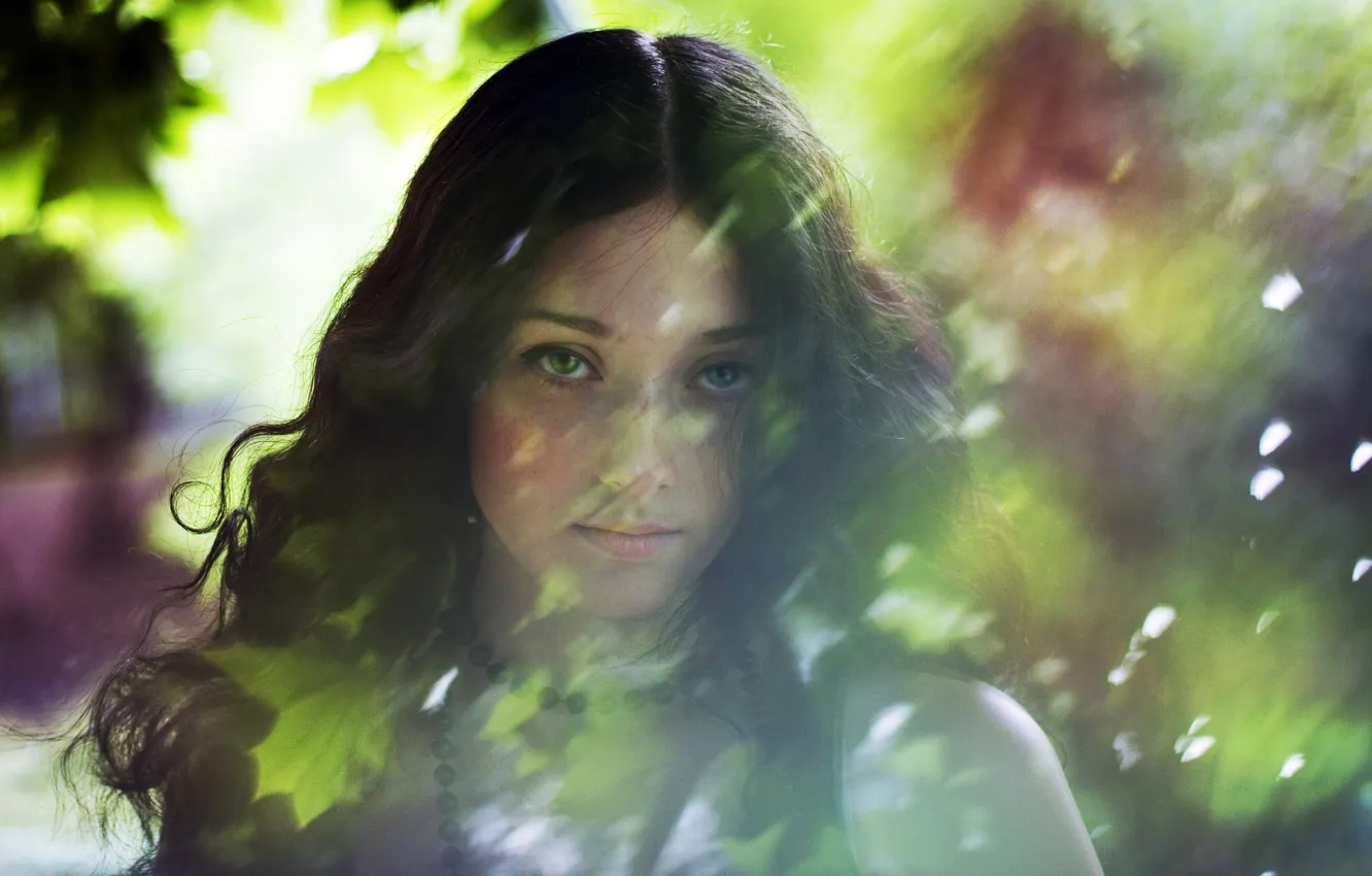 Photo wallpaper look, girl, the sun, glare, bright, cute, Sweet lady