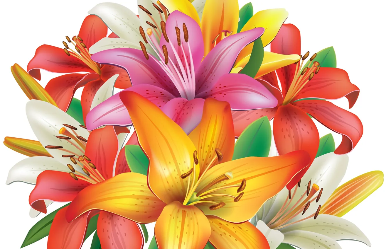 Photo wallpaper flowers, Lily, bouquet