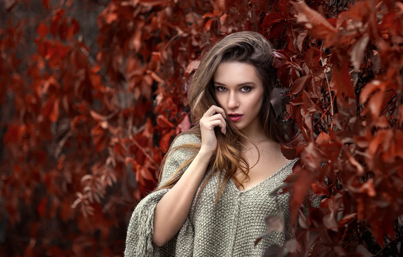 Photo wallpaper leaves, girl, brown hair, ivy, pullover