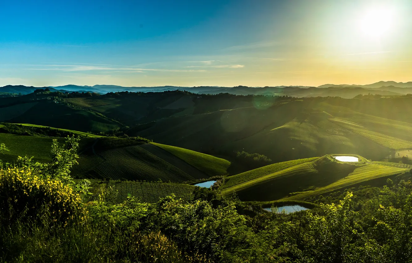 Photo wallpaper greens, the sky, the sun, hills, field, morning, Italy, meadows