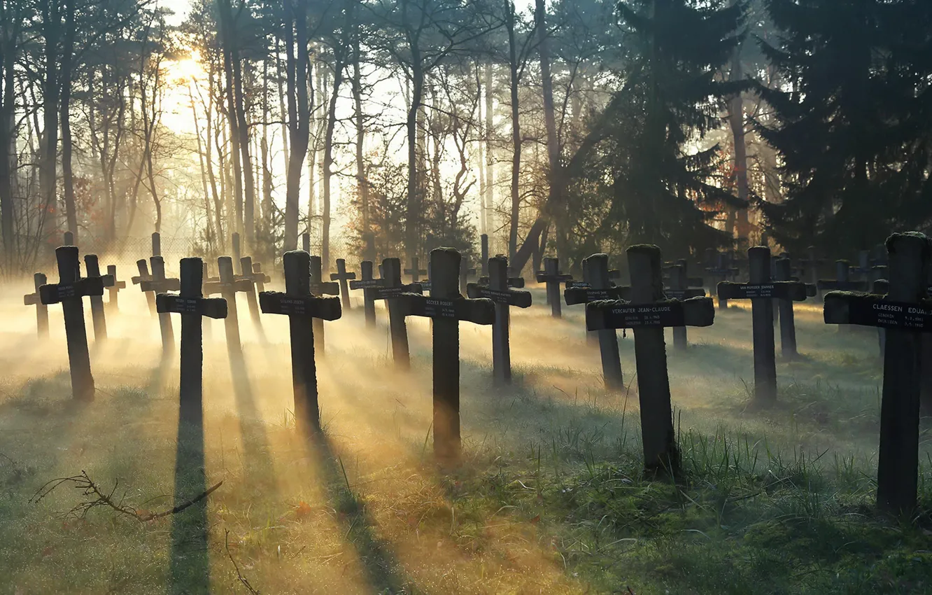 Photo wallpaper crosses, morning, cemetery