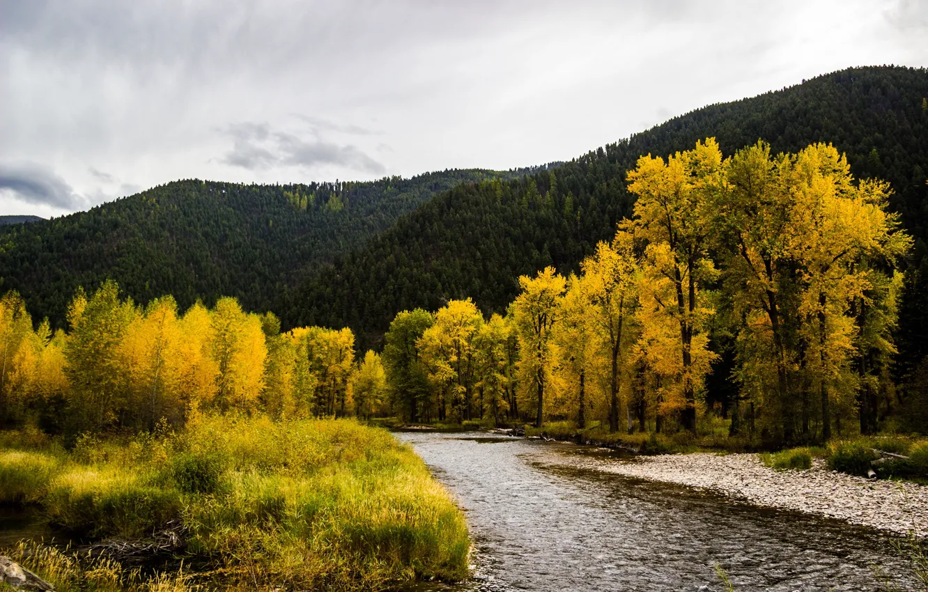 Photo wallpaper mountains, trees, Montana, autumn, river, USA