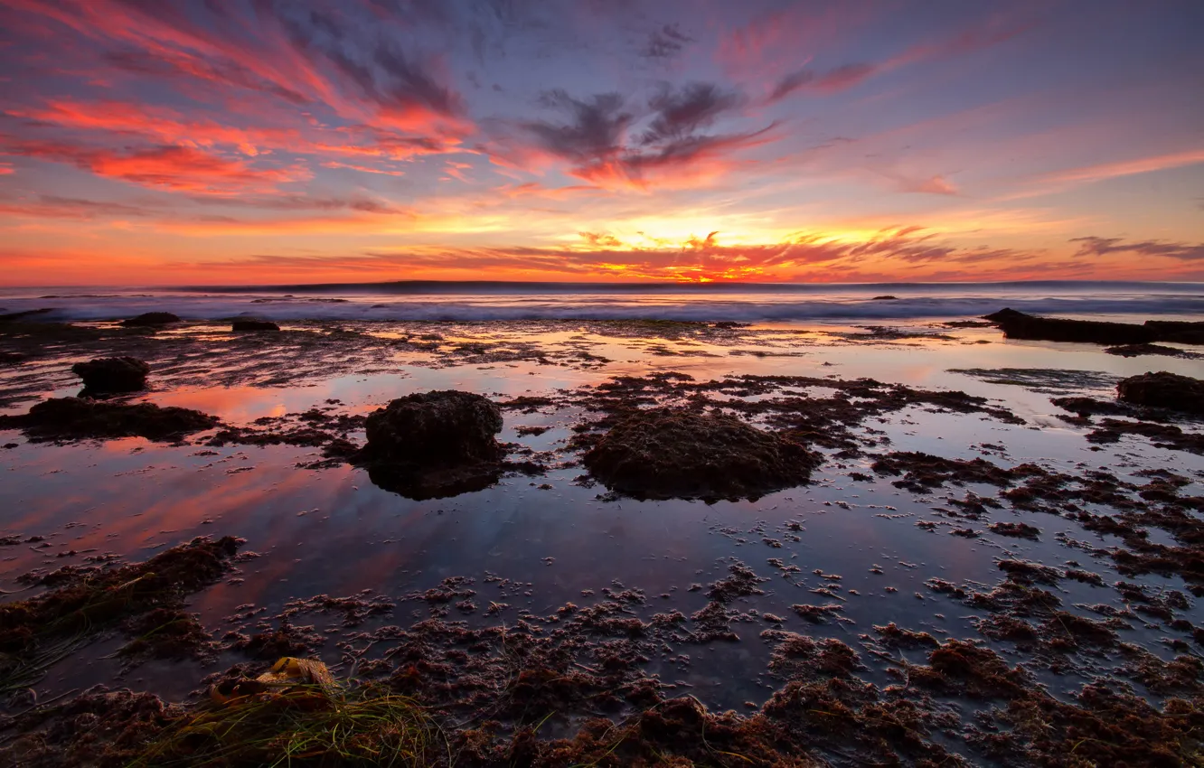 Photo wallpaper sea, beach, algae, sunset