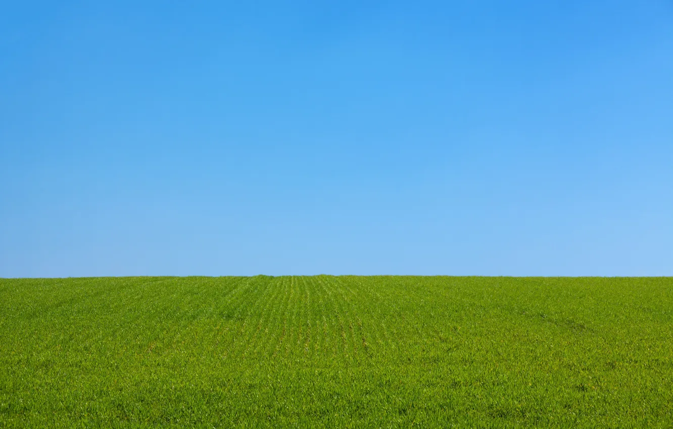 Photo wallpaper field, the sky, grass, landscape, nature, horizon, grass, sky