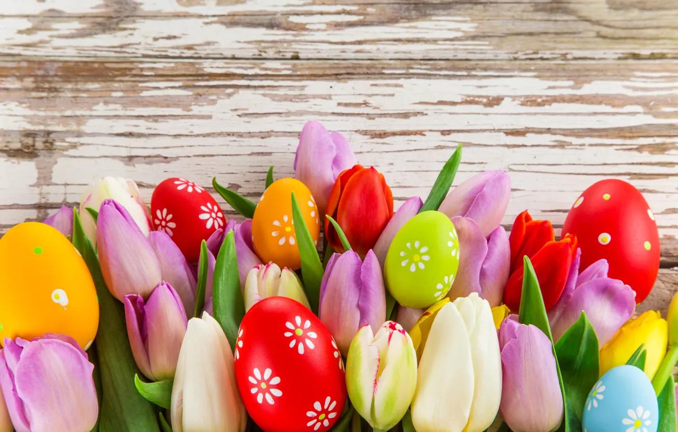 Photo wallpaper photo, Flowers, Leaves, Tulips, Easter, Eggs, Holiday