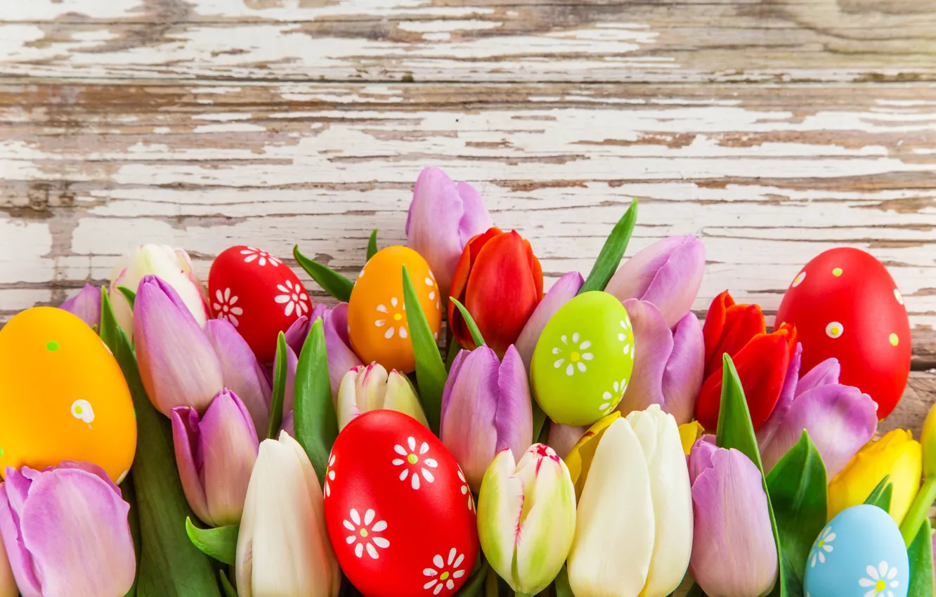 Photo wallpaper leaves, flowers, photo, holiday, eggs, Easter, tulips