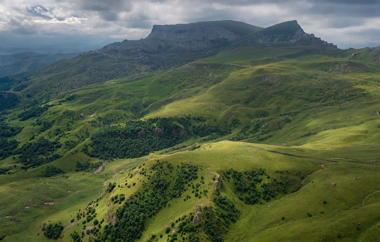 Photo wallpaper forest, grass, mountains, nature, rocks, The Caucasus, Sergey Serushkin