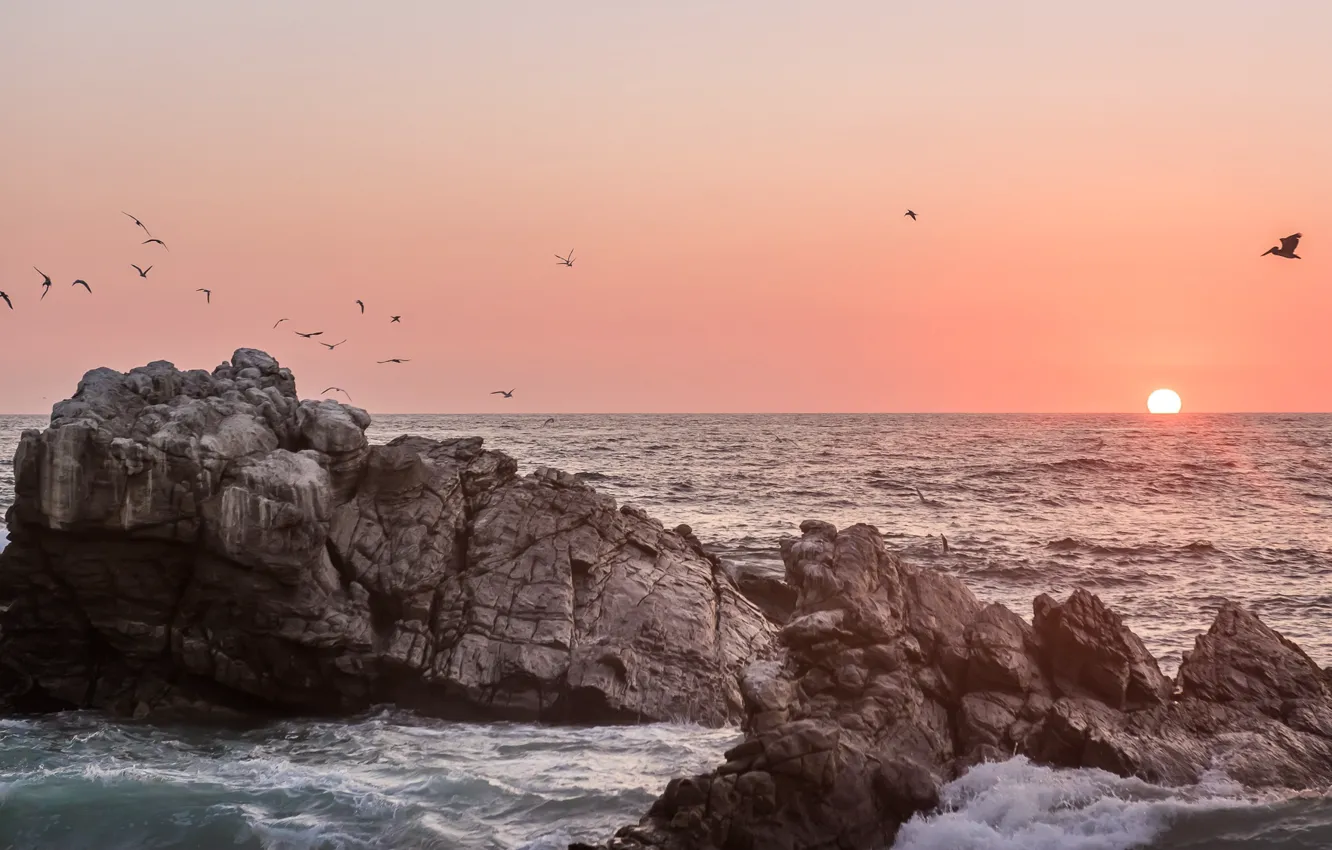 Photo wallpaper ocean, sunset, water, seagulls