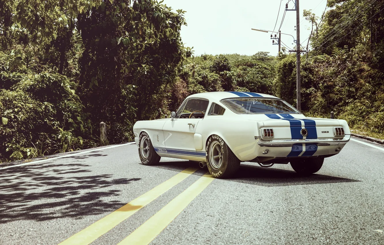 Photo wallpaper Ford, Shelby, Auto, Road, Ford, Muscle, Car, Shelby