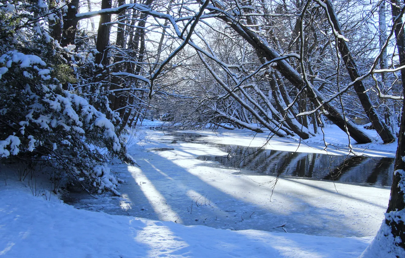 Photo wallpaper ice, park, winter, lake, snow, sun, pond