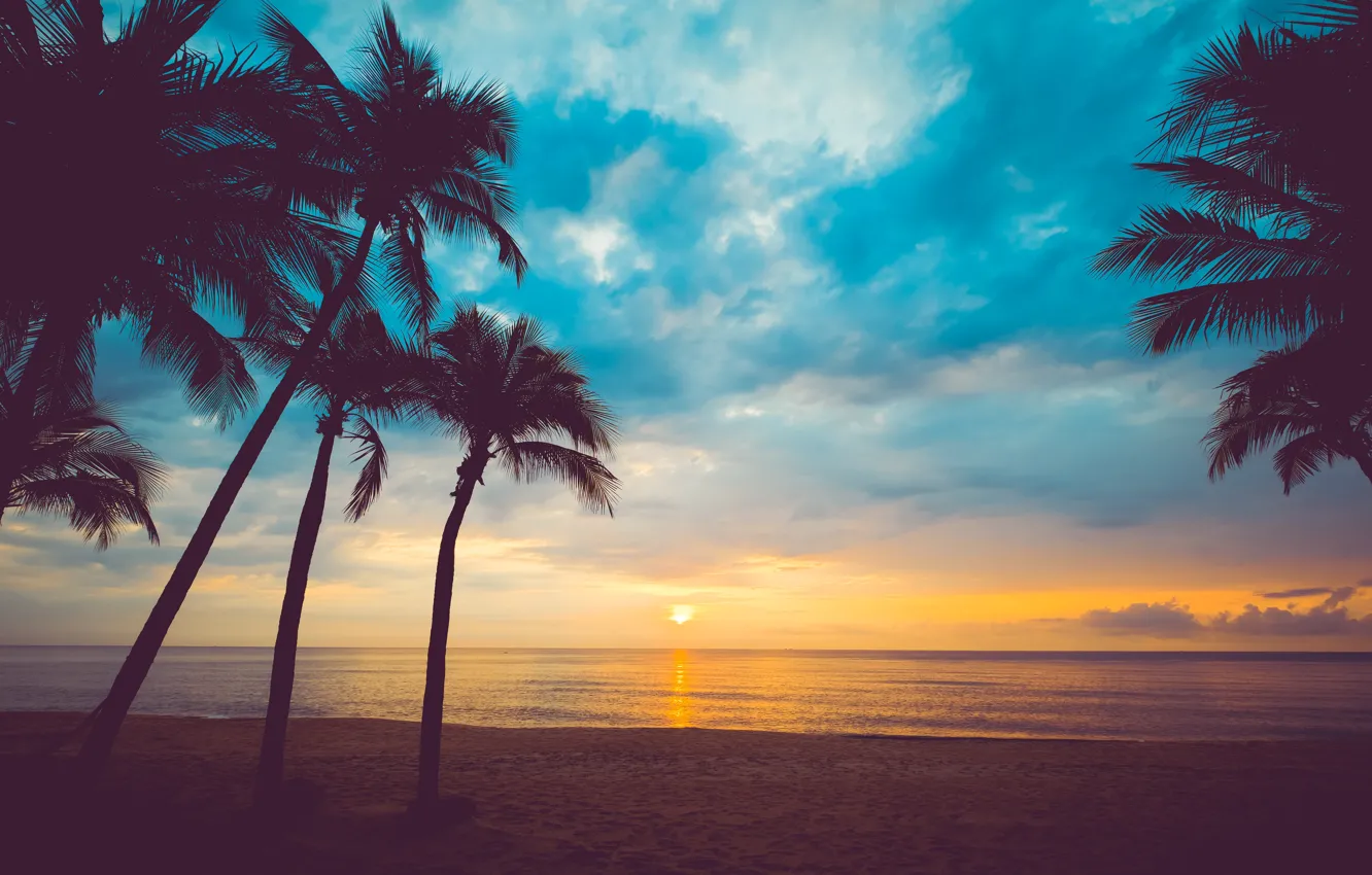 Photo wallpaper sand, sea, beach, summer, the sky, sunset, palm trees, shore