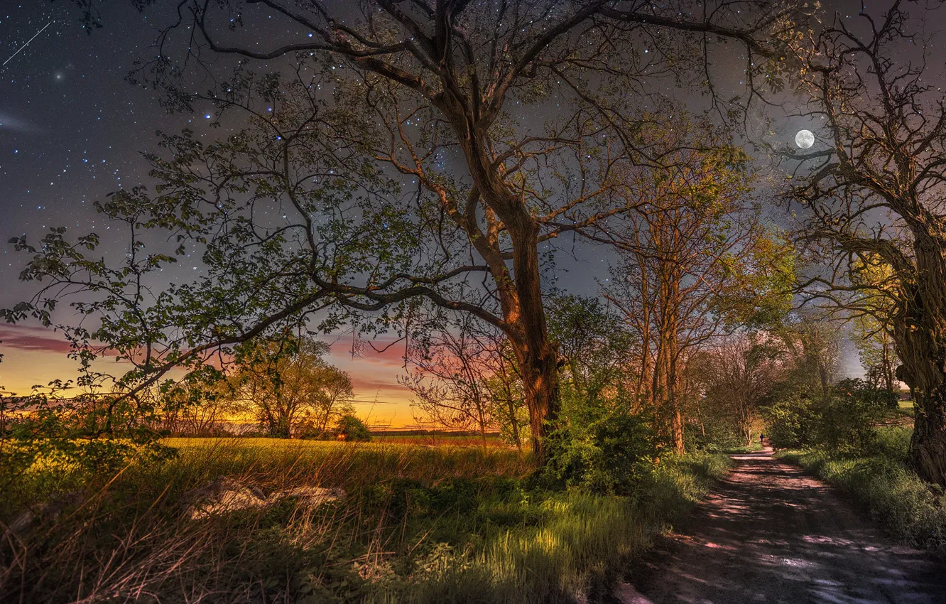 Photo wallpaper road, field, the sky, trees, landscape, nature, the moon, stars