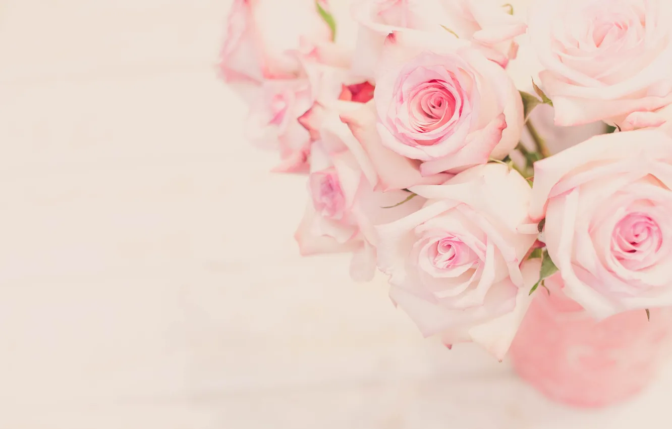 Photo wallpaper background, tenderness, roses, buds