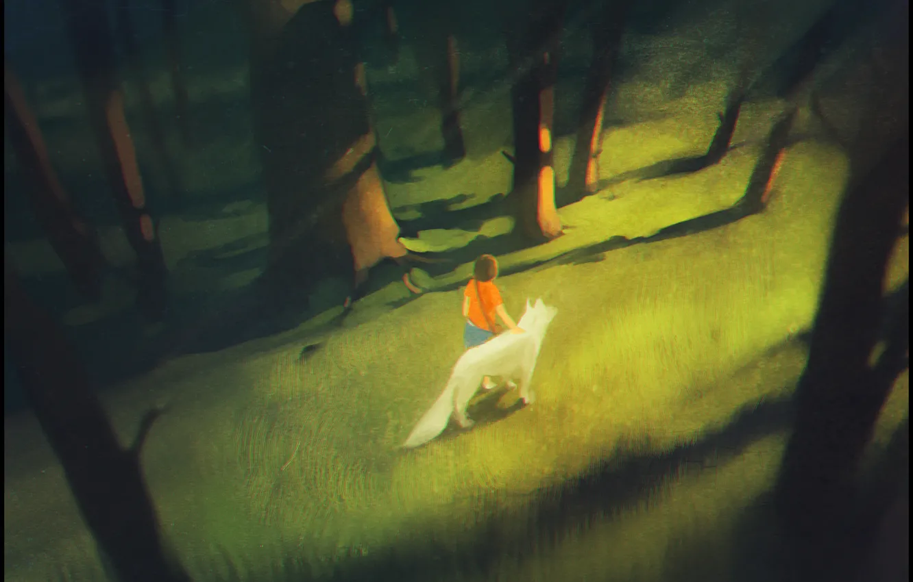 Photo wallpaper forest, people, wolf, shadow, art