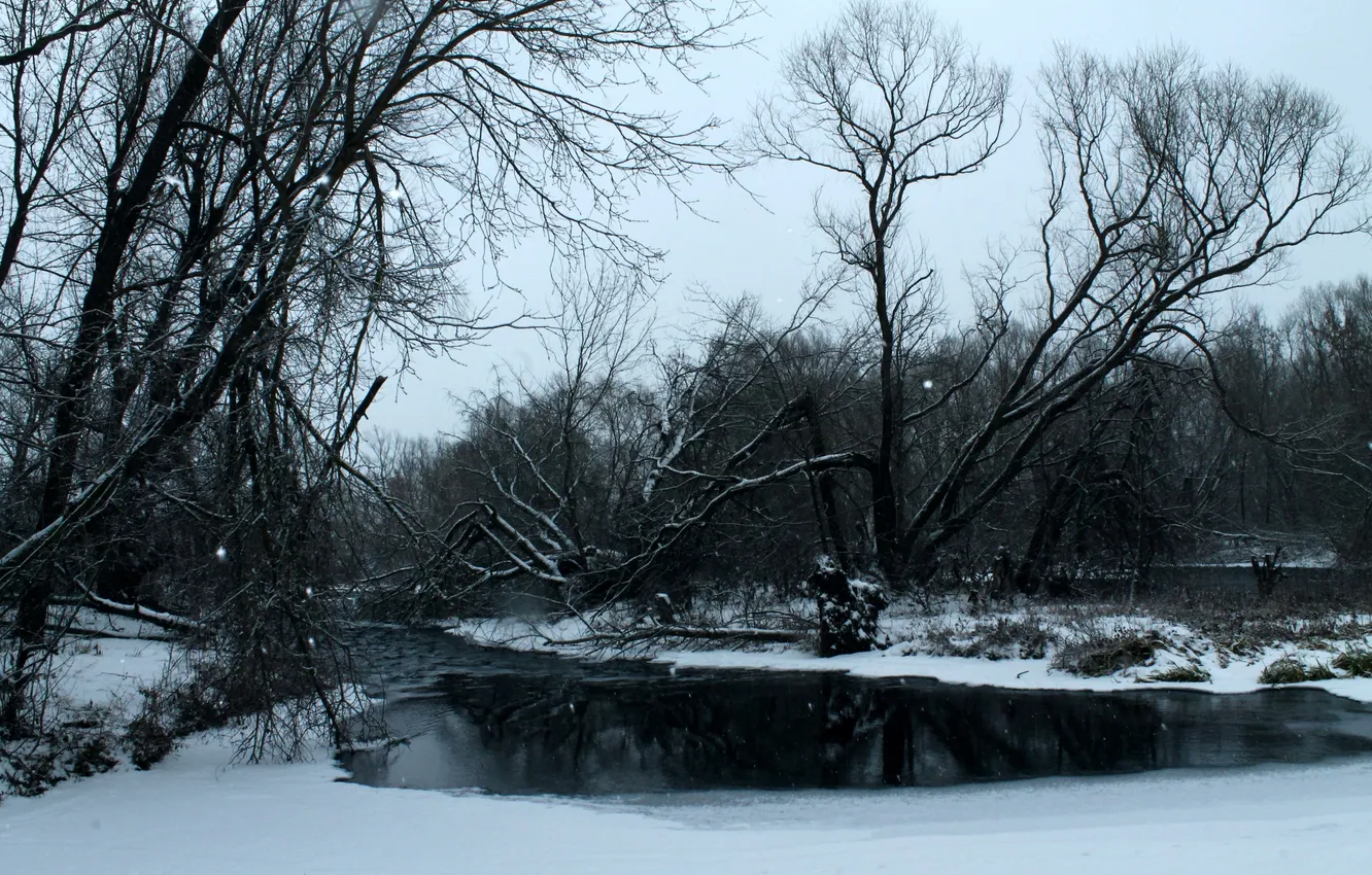 Photo wallpaper winter, forest, snow, trees, river