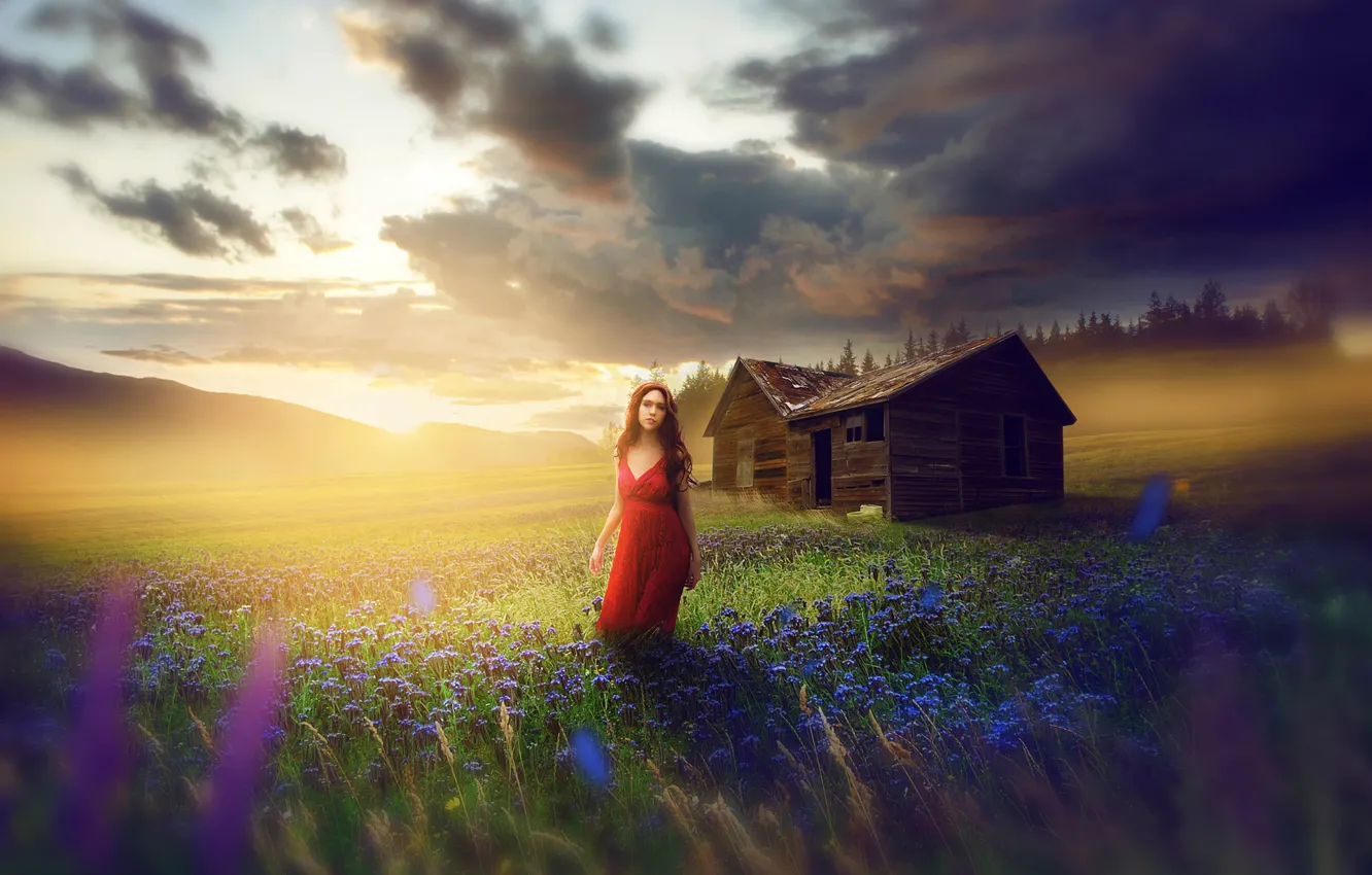 Photo wallpaper field, girl, flowers, dress, meadow, the barn, in red, fine art