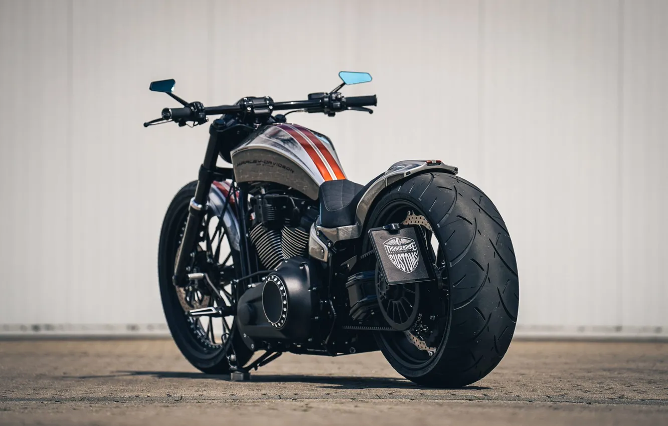 Photo wallpaper motorcycle, Harley Davidson, bike, Thunderbike customs
