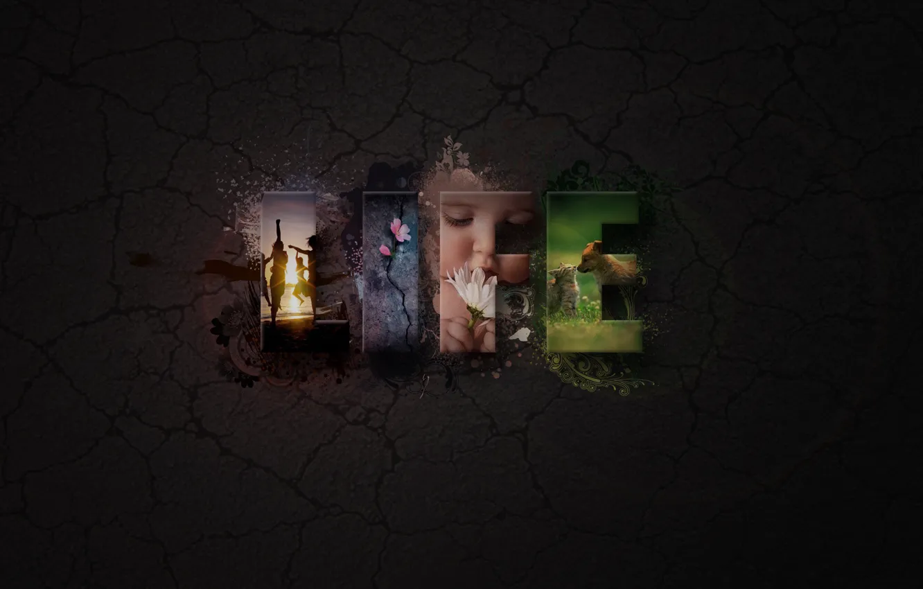 Photo wallpaper the inscription, words, life