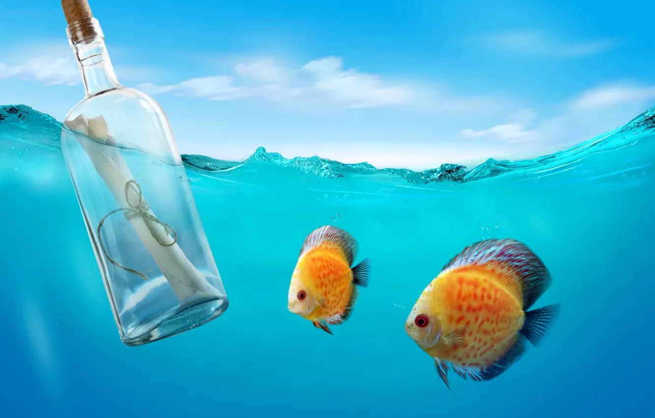 Photo wallpaper sea, letter, fish, the ocean, bottle, underwater, sea, message