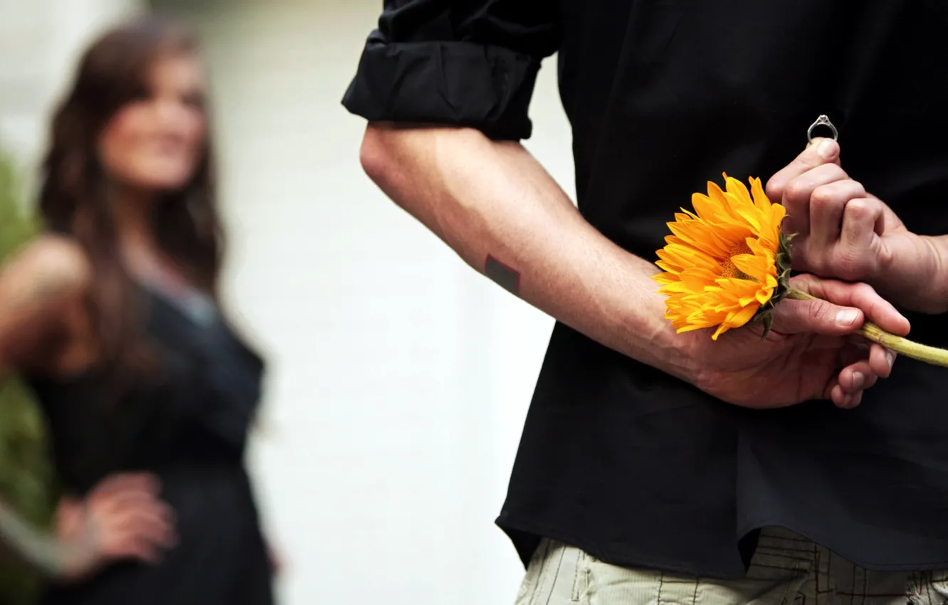 Photo wallpaper flower, girl, the situation, ring, guy