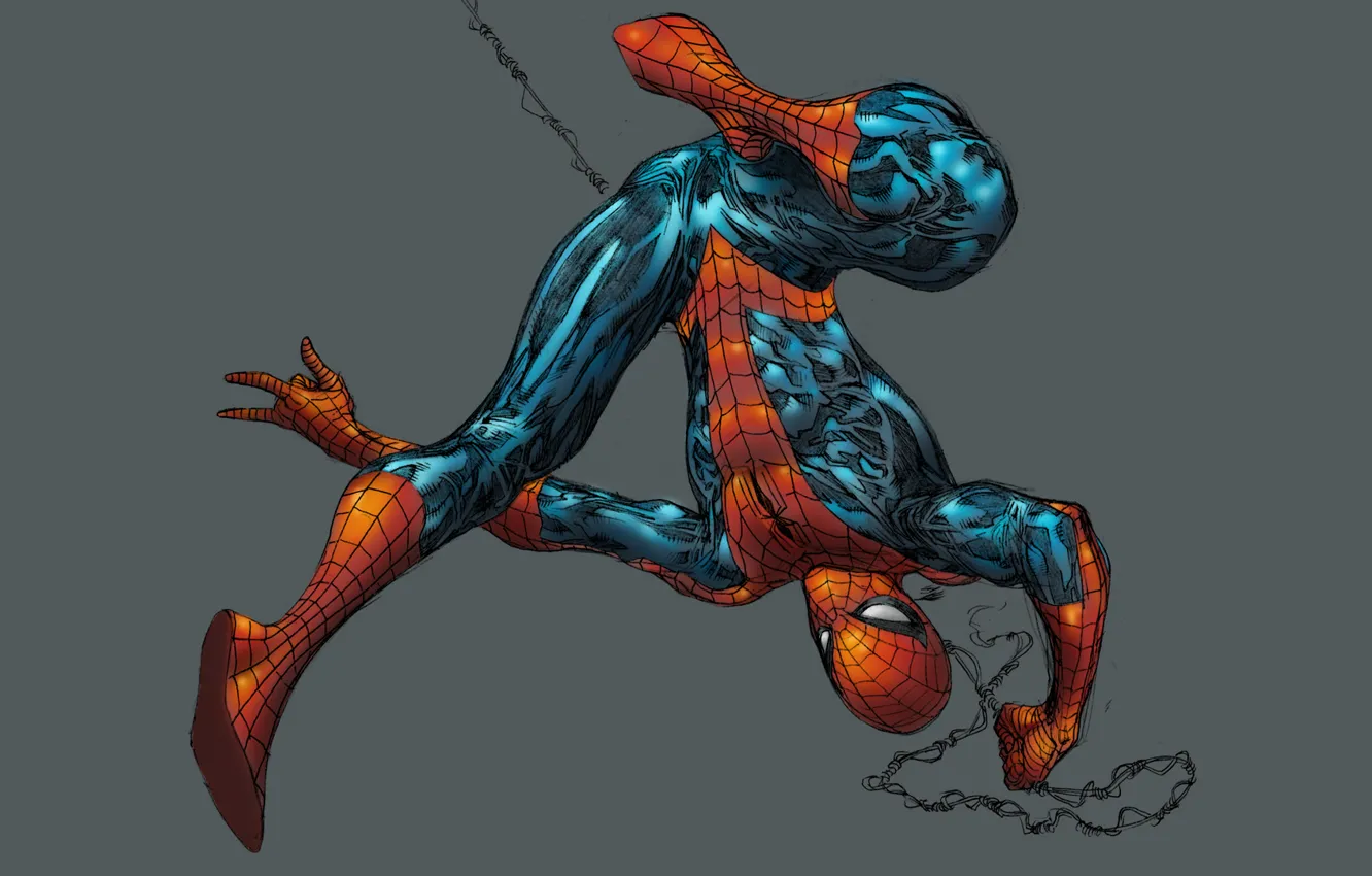 Photo wallpaper grey background, Marvel Comics, Spider-Man, Spider-Man