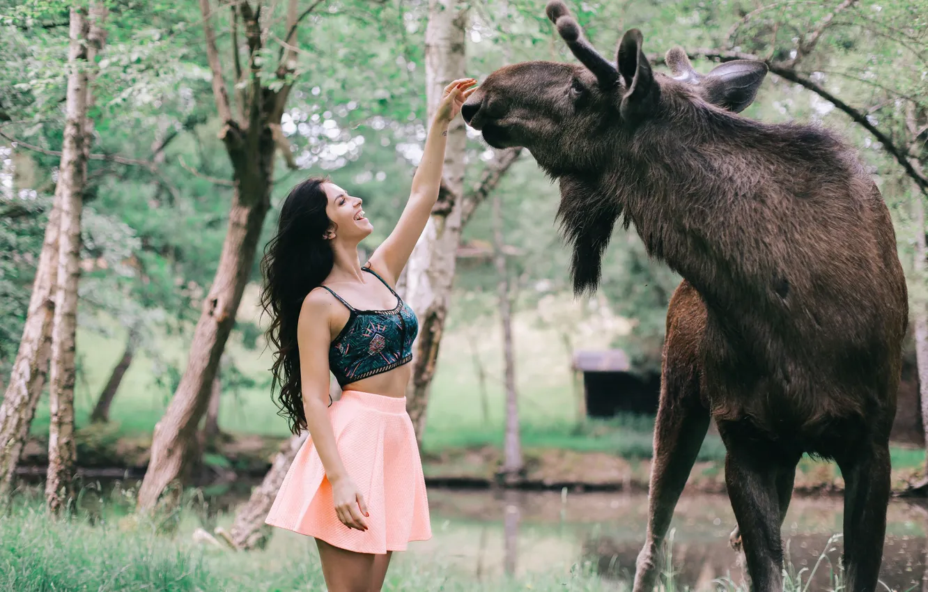 Photo wallpaper girl, moose, feeds