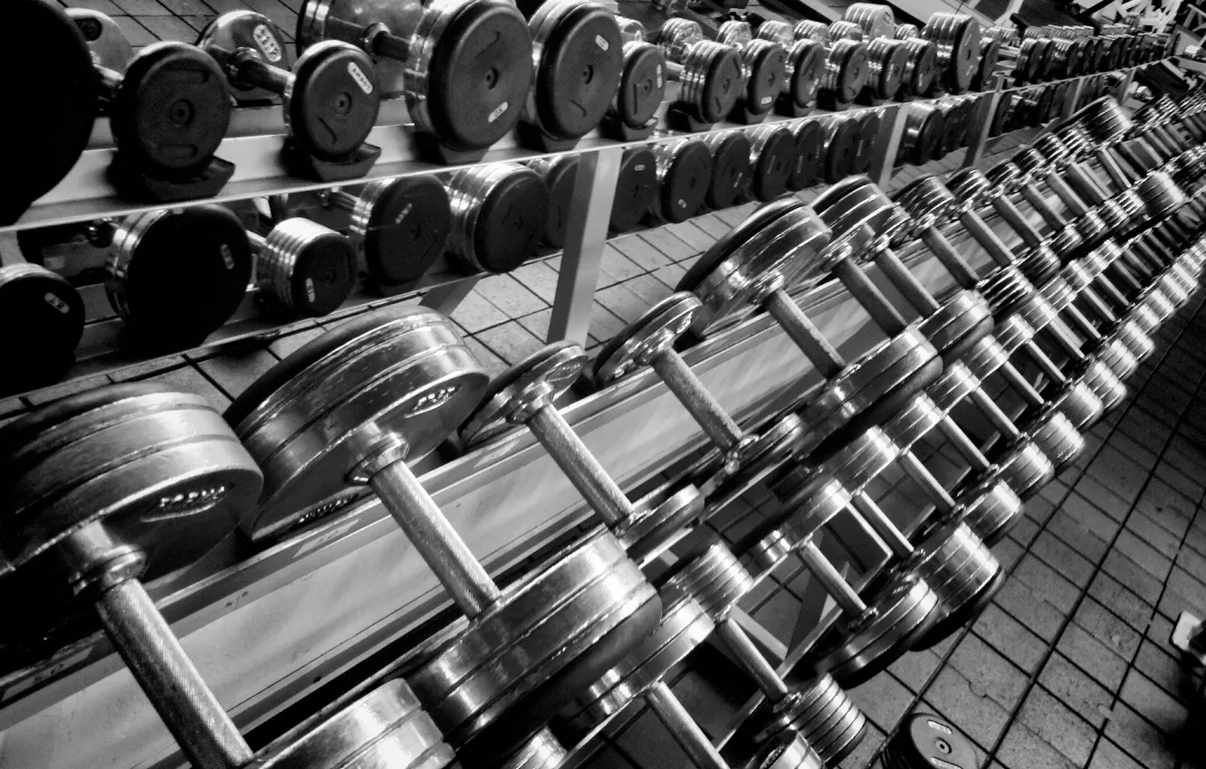 Photo wallpaper fitness, gym, dumbells