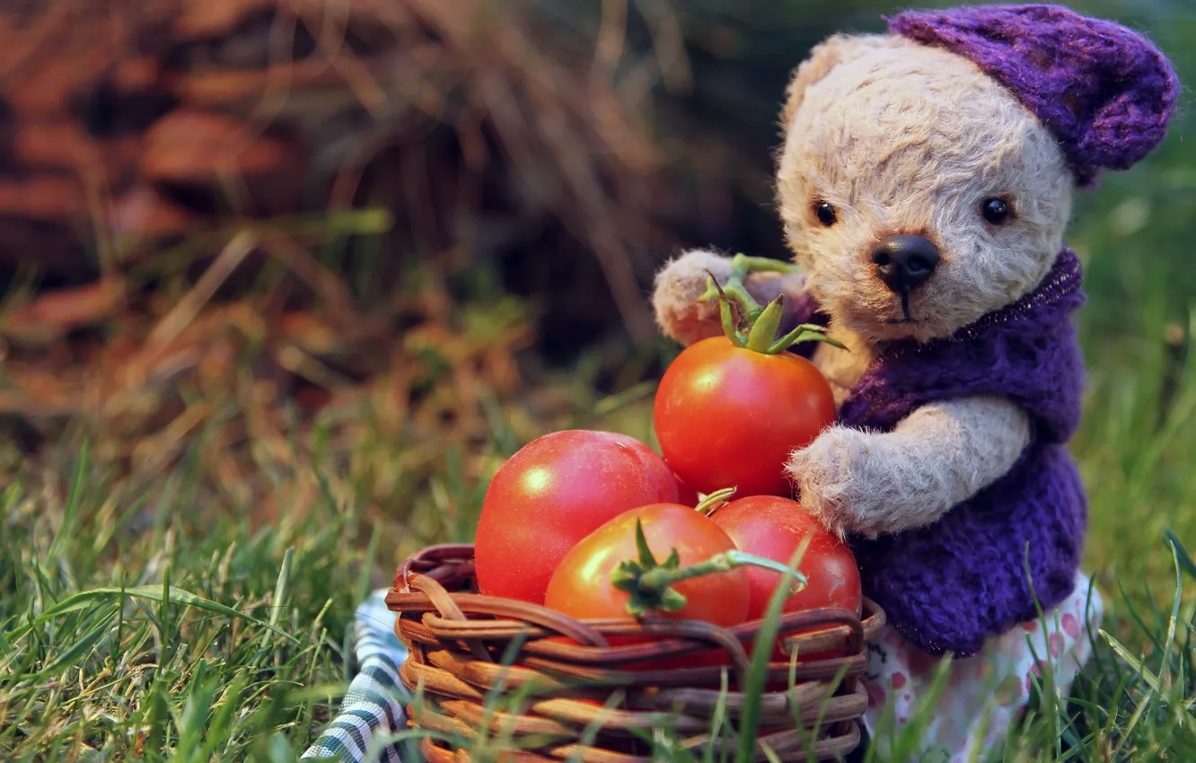 Photo wallpaper summer, grass, leaves, light, mood, toy, garden, harvest