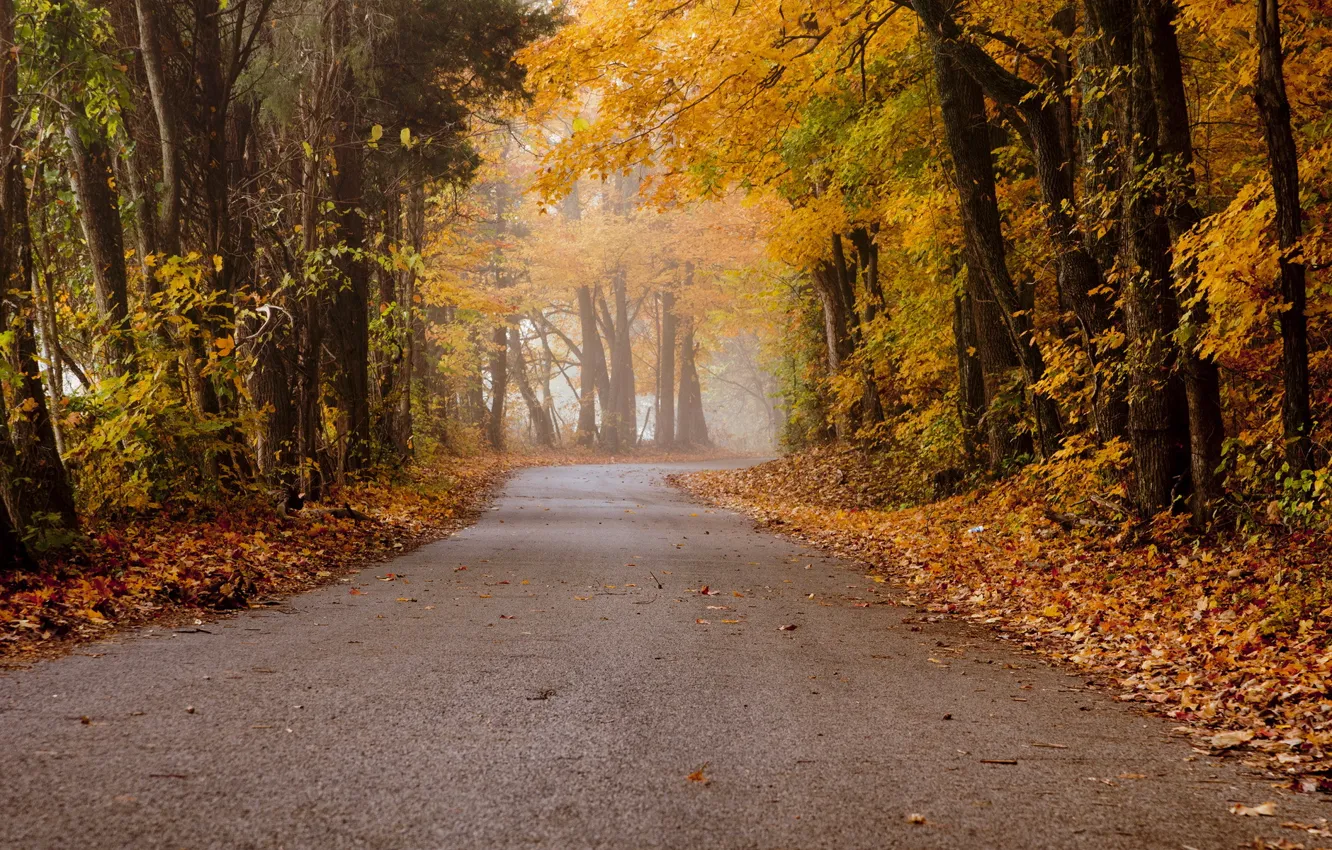 Photo wallpaper road, autumn, landscape