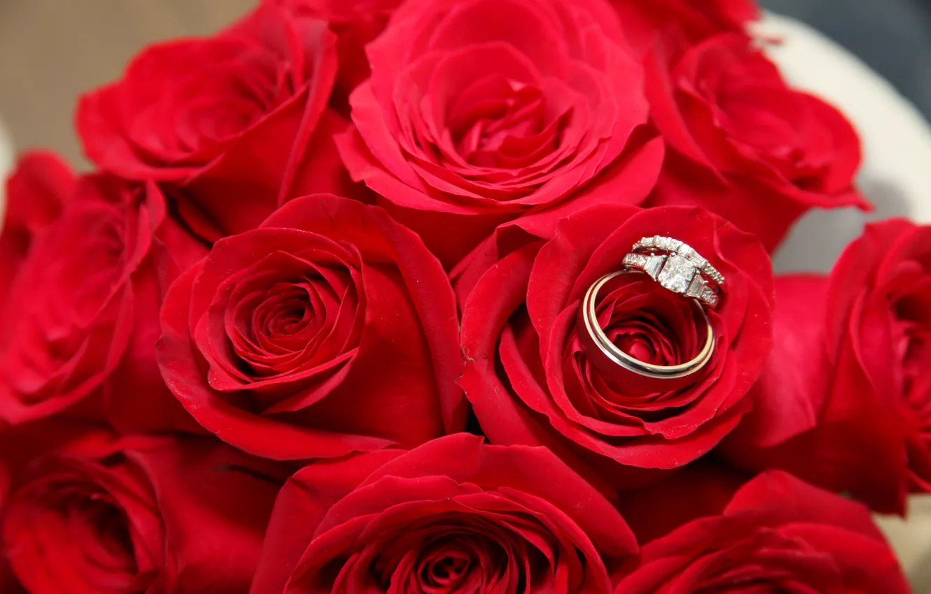 Photo wallpaper red, holiday, roses, ring, wedding
