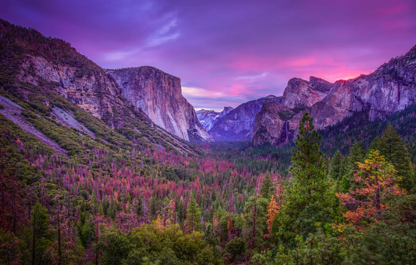 Photo wallpaper landscape, nature, purple sunset