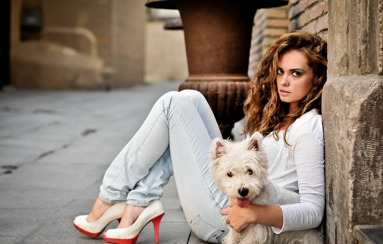 Photo wallpaper look, mood, dog, jeans, shoes, heels, The West highland white Terrier, Tamara Martin Velilla