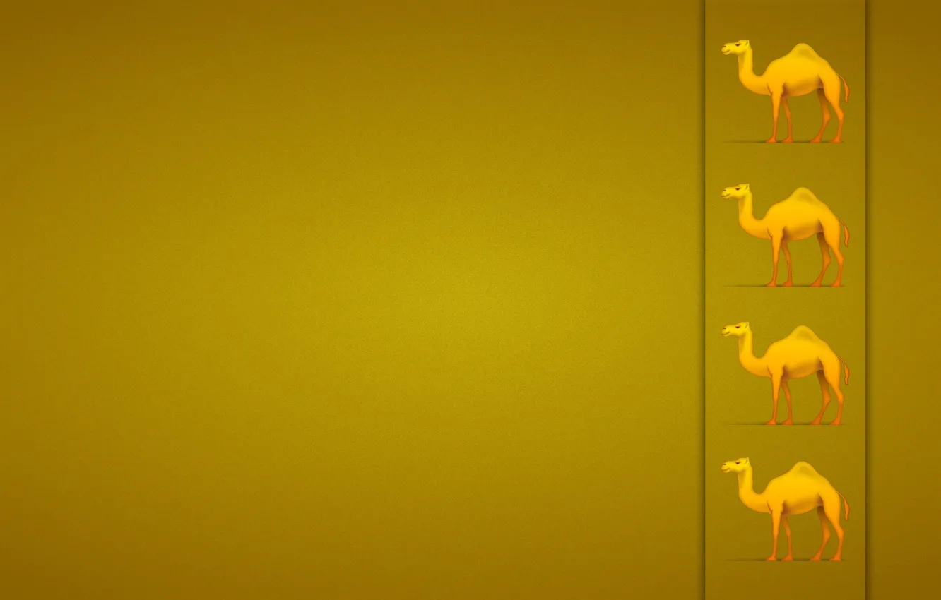 Photo wallpaper orange, yellow, strip, texture, camel, four, camel
