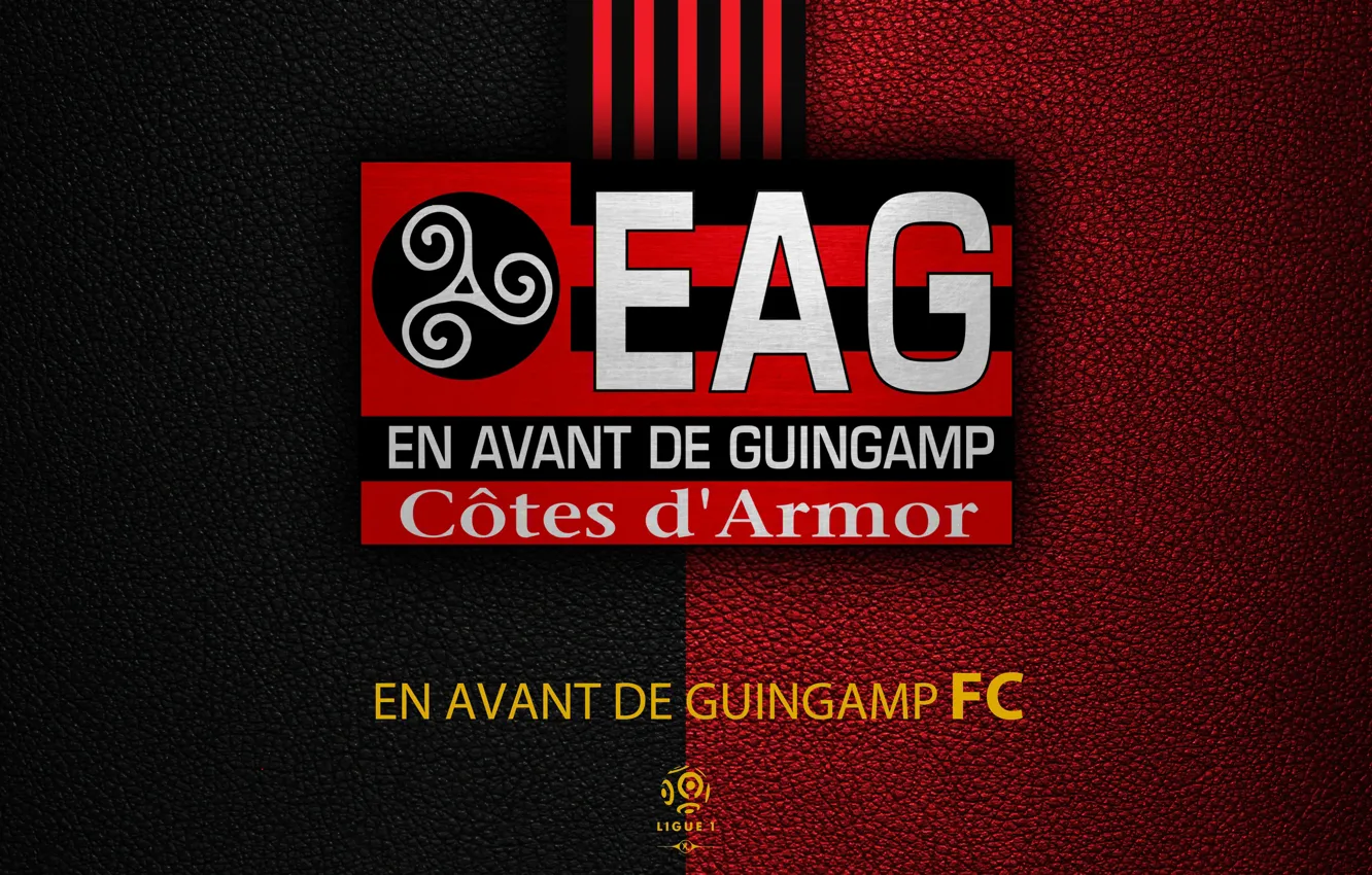 Photo wallpaper wallpaper, sport, logo, football, Ligue 1, In Front of Guingamp