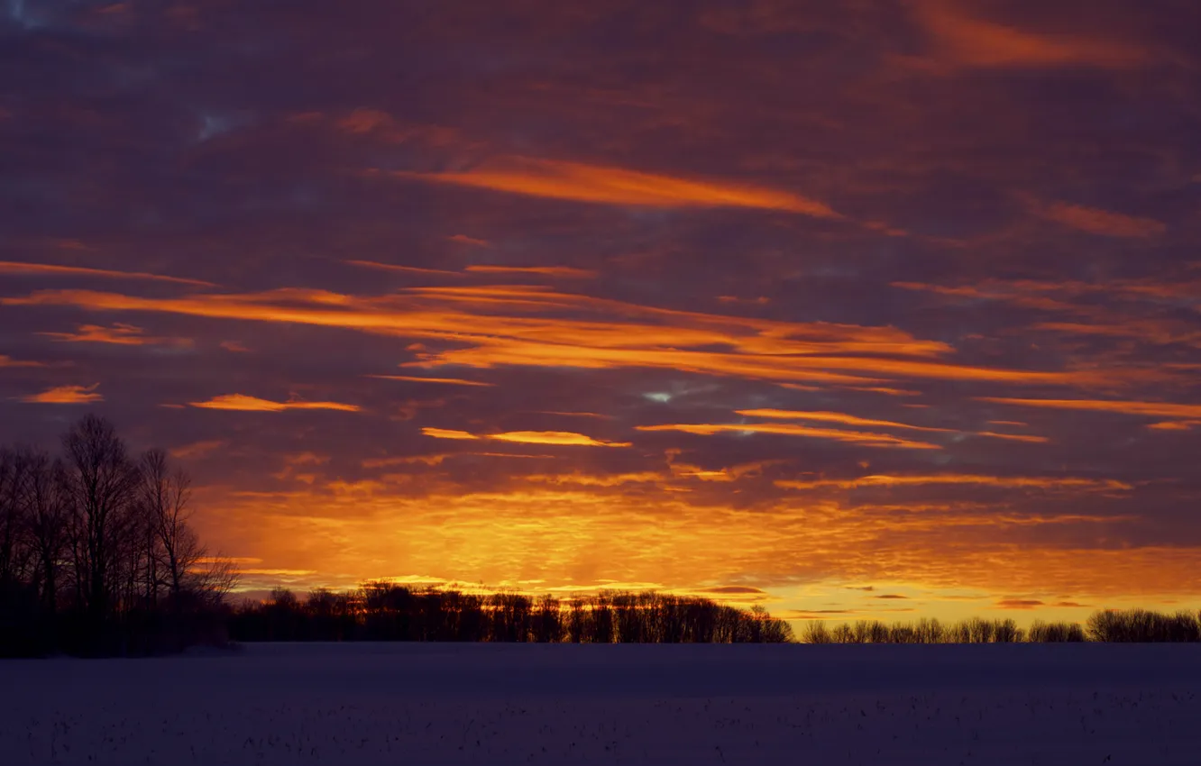 Photo wallpaper winter, field, the sky, clouds, snow, trees, sunset, orange